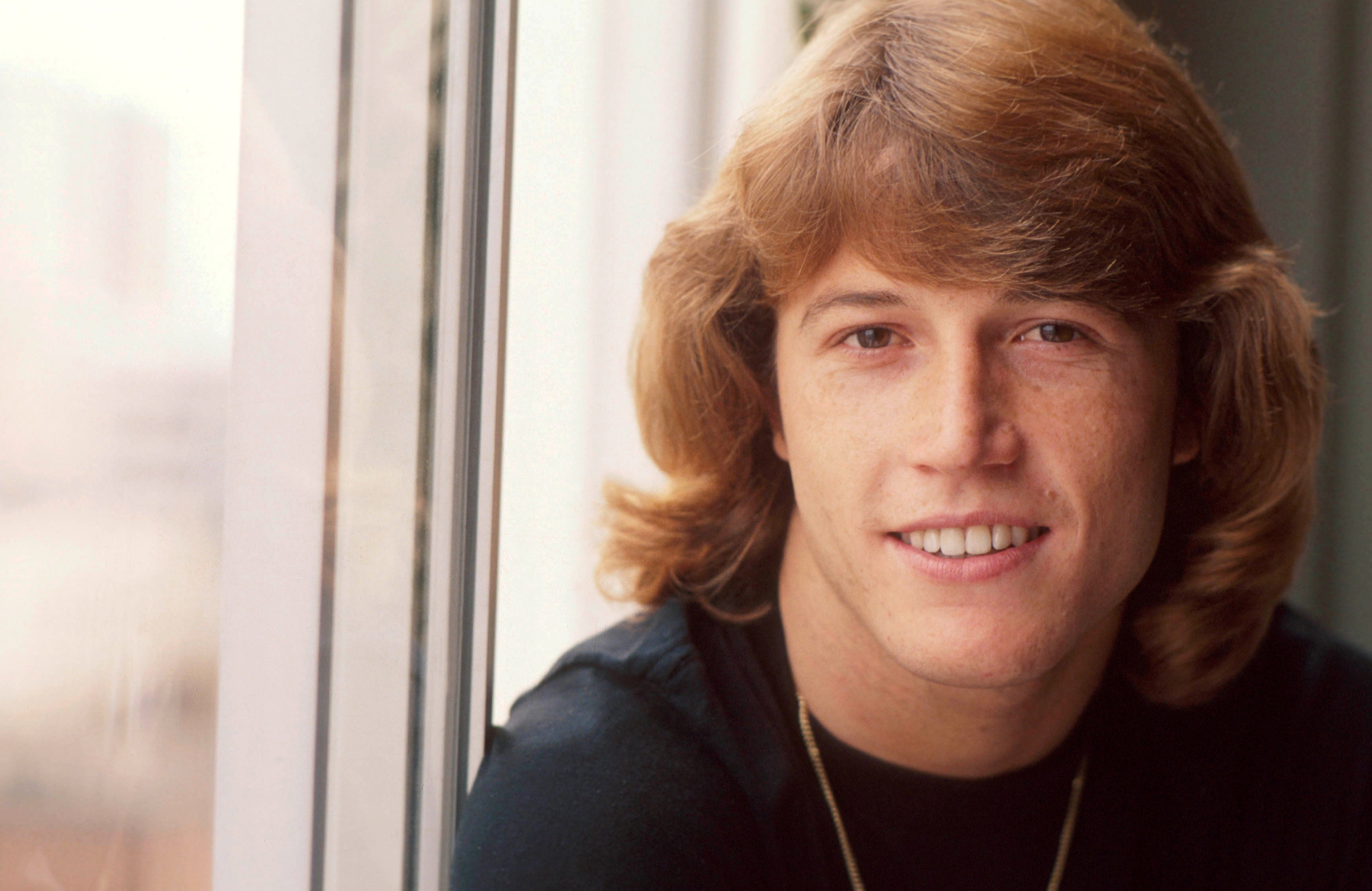 Andy Gibb An Everlasting Love